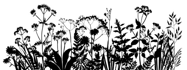 Vector silhouette of wild meadow herbs and flowers. Natural black grass border on white background. Perfect for botanical design, print, cards, posters, eco packaging, and decorative elements.