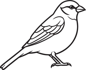 Sparrow outline simple drawing bird