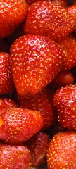 Red juicy strawberries, vertical background for smartphone, postcard, summer harvest fruit, macro