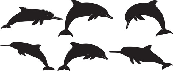 Baiji dolphin silhouette vector illustration