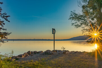trees stands on the bank of Lake Constance, sun star shine through the leaves in treetop, peoples relax on the beach, the sun rise over the water surface, interesting scenery