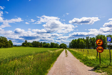 Private gravel road through green fields under blue sky with white clouds and no entry traffic signs. Sweden. © Alex