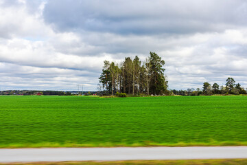 View from car window of small forest island on green field, blurred foreground due to motion....