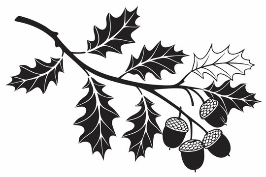 ornaments sihouette black vector