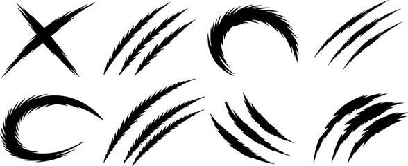 Black claw marks and scratches on white background grunge