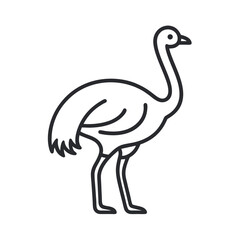 Isolated emu bird icon in minimal line style