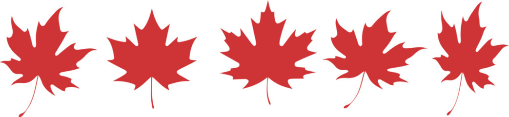 Red maple leaves pattern maple leaf autumn