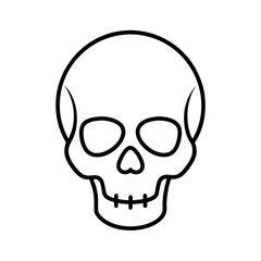 Human Skull Line Sketch Drawing