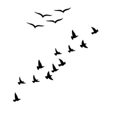 Minimal Flying Birds Icons in Simple Silhouette Style