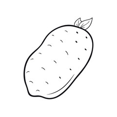 Sweet Potatoe Sketch Vegetable Design