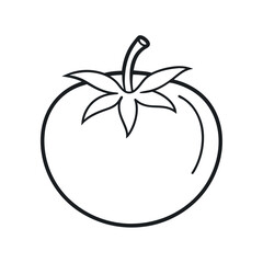 Tomato Outline Simple Line Sketch