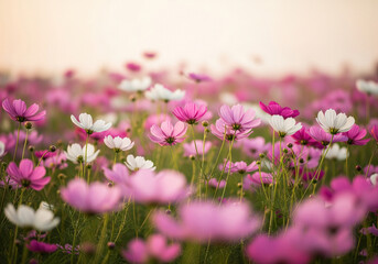 Fototapeta premium pink flowers in the garden spring season