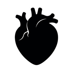 human heart organ anatomy vector silhouette black