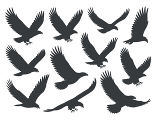 Collection of Silhouettes of Eagles in Flight Vector graphic various eagles flight eagle birds silhouette flying wildlife nature vector graphic illustration design animal