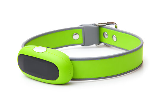 GPS tracker for pets with digital display and collar.
Small smart GPS tracker attached to a stylish pet collar. Ideal for concepts of pet safety, tracking, and modern pet tech.