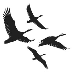 black-silhouette-vector-of-birds-in-flight--white- (1)
