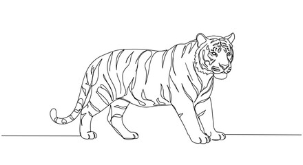 Naklejka premium Line art tiger walking against a blank background