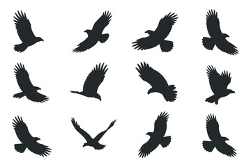 A Seamless Pattern of Black Silhouette Eagles in Flight Multiple black silhouettes eagles flight against white background eagle bird silhouette flying flight pattern