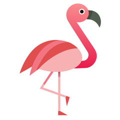 pink flamingo bird