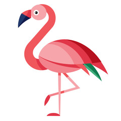 pink flamingo isolated on white