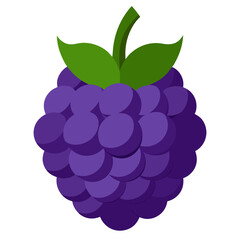 Vector illustration of a blackberry.