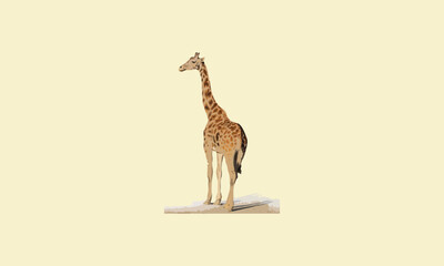Vector giraffe design fully editable high quality