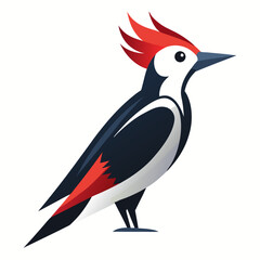 vector illustration of a red bird