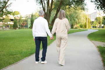 Fototapeta premium Lovely senior couple walking together in park, back view