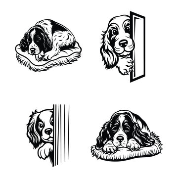 English Springer Spaniel svg