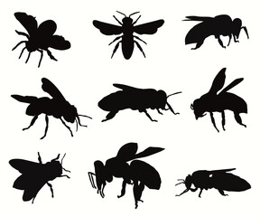 Honey bee silhouette set collection. Bumblebee insects. Wood and garden cute insects, fly, ant, caterpillar, housefly, ladybug and wasp. Bugs insects mascots, winged honey bee flat vector illustration