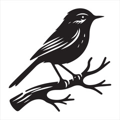 Obraz premium Side view of a perched bird vector silhouette on a branch, black colour vactor 