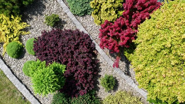 Beautiful Garden Landscape Showcasing Vibrant Foliage and Neat Stone Borders