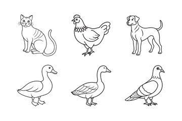 line art of cat duck dog pigeon chicken goose livestock bundle on the white background
