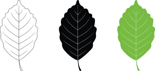 Leaf vector illustration set in green black and outline for graphic design and nature concepts use editable stock vector illustration