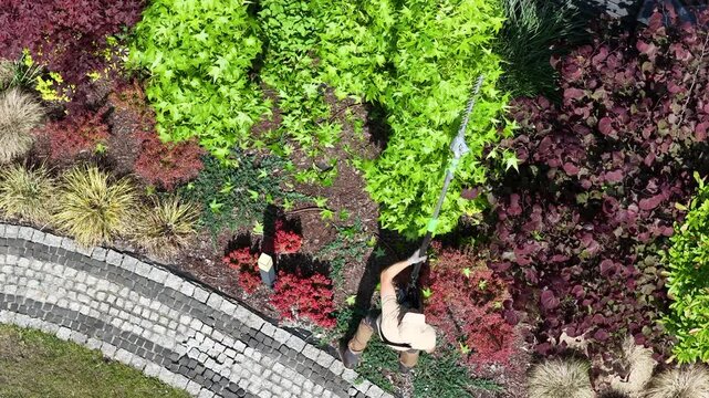 Gardening Activity Showcasing the Vibrant Plants in a Colorful Landscape