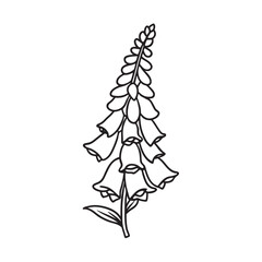 line art of foxglove forest flower