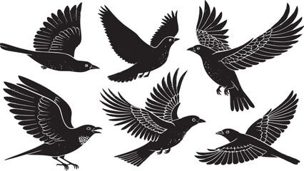 Seagull Silhouette Vector Set with Ocean Waves – Nautical and Coastal Design Elements for Marine-Themed Art and Decor