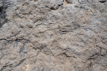 Rock texture