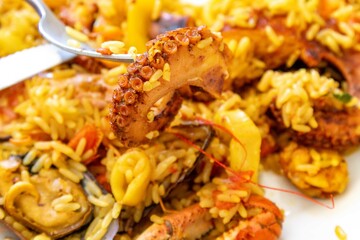 Traditional seafood paella with a variety of selected seafood. Refined and gourmet cuisine
