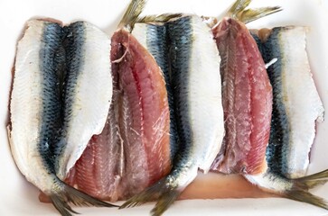 Fresh sardine fish fillets, real and healthy food rich in omega 3