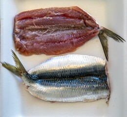 Fresh sardine fish fillets, real and healthy food rich in omega 3