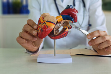 A healthcare professional is using a scalpel to demonstrate the internal structure of a human heart...
