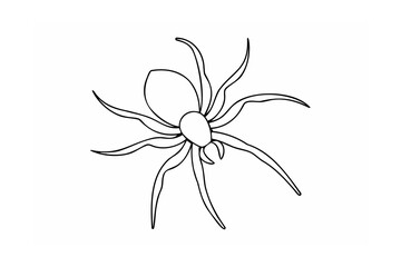 Black line art arachnid spider drawing