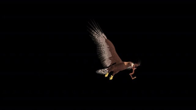 American Golden Eagle with Snake - Flying Transition III - Realistic naturalistic Full HD 3D animation isolated on transparent background with alpha channel