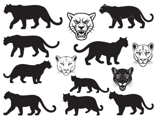 COUGAR SILHOUETTE