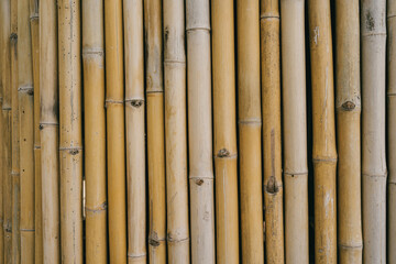 Bamboo background. Natural Bamboo Texture Background for Design, Decoration, and Sustainable Living Concepts in Earthy Tones