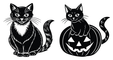 Halloween witch holding a glowing pumpkin lantern, vector illustration.

