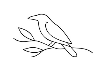 Bird perched on a branch outline black and white
