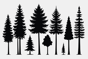 Fototapeta premium Silhouettes of evergreen trees in a forest setting 