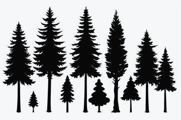 Obraz premium Silhouettes of evergreen trees in a forest setting 